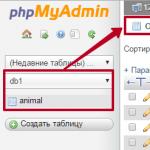 Как вывести данные из MySQL – руководство для не шаманов